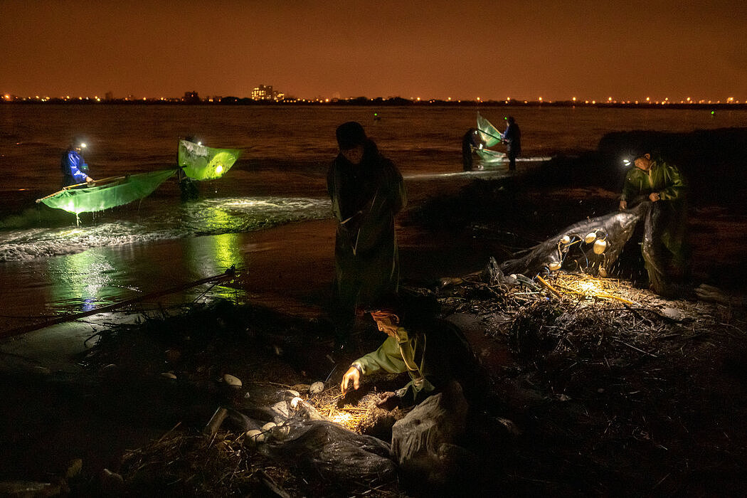 在台湾东北部宜兰县的兰阳溪沿岸捕捞玻璃鳗的人。