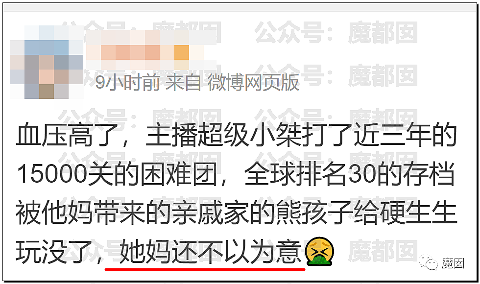 热搜第一！超级小桀3年心血被母亲带熊孩子毁掉引发爆议（组图） - 81