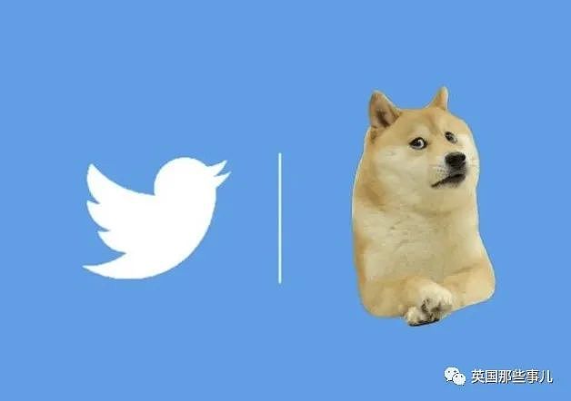 马斯克把推特logo从蓝鸟改成了狗头？狗狗币一夜猛涨，网友疯狂吐槽…（组图） - 14