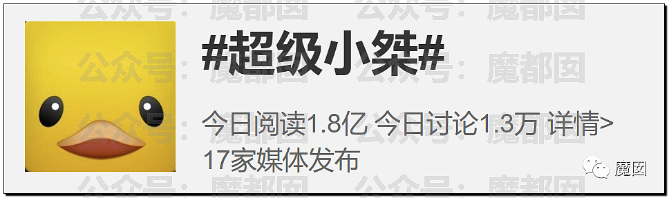 热搜第一！超级小桀3年心血被母亲带熊孩子毁掉引发爆议（组图） - 80