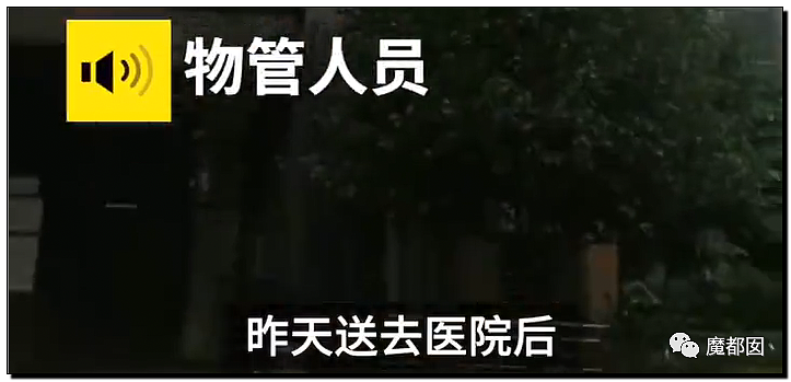 重庆“幼童坠楼案”二审！生父为讨好小三，将儿女推下15楼（视频/组图） - 26