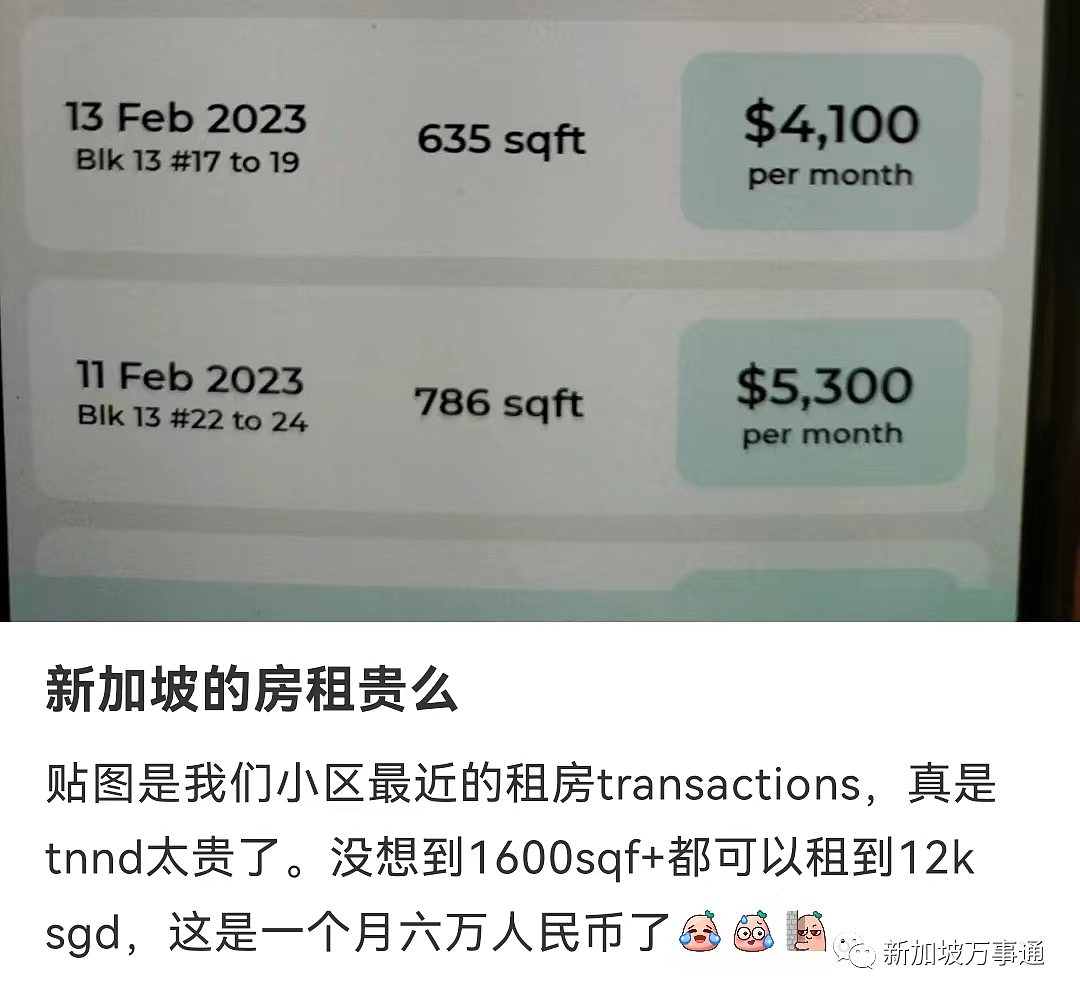 “我被消费降级压垮了”！第一批润到新加坡的华人已经后悔了...（组图） - 12