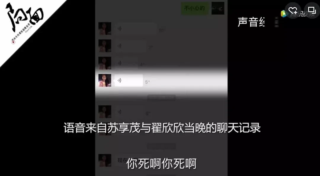 翟欣欣逼死苏享茂一案宣判：背后的人性经不起细看（组图） - 9