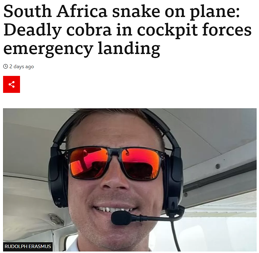 机长飞行途中感到背上一阵清凉，竟然是一条剧毒眼镜蛇！他接下来的举动拯救了所有人的生命（组图） - 1