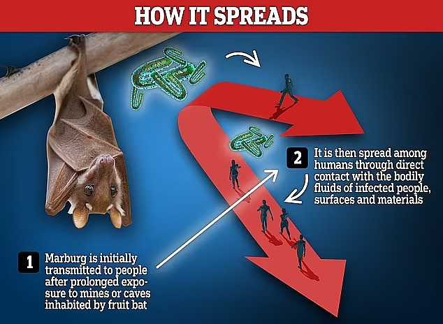 CDC发警告：警惕这种致命病毒在美爆发，致死率高达50%！症状恐怖 - 2