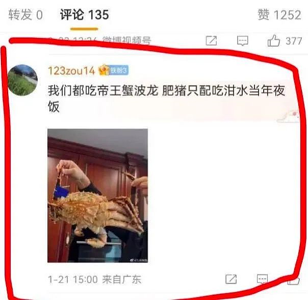 润到澳洲的“北极鲶鱼”，爷爷身份曝光后，网友们更加不淡定了，真相到底是什么？（组图） - 6