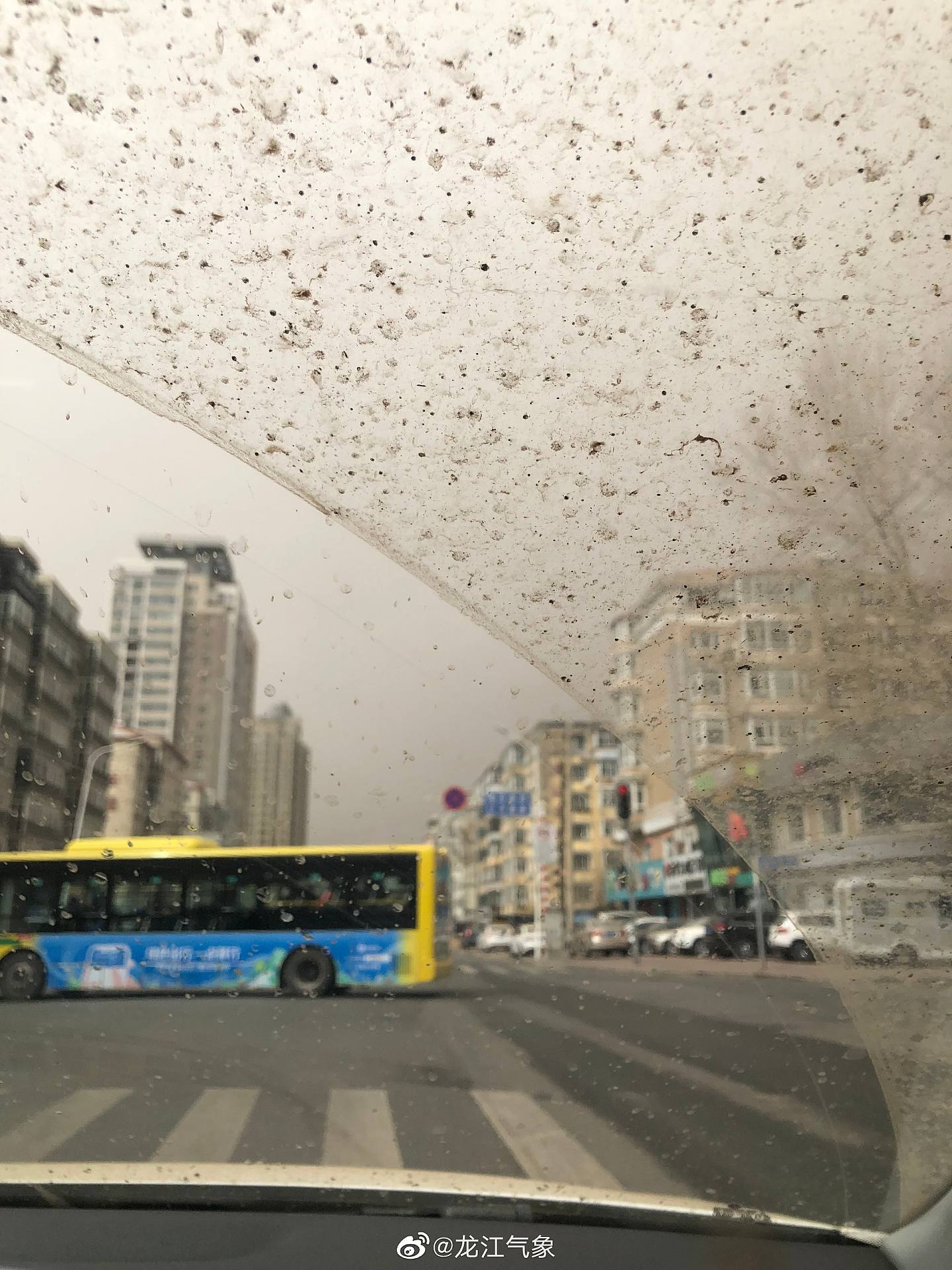 沙尘暴侵袭北京上海等省市！哈尔滨落“泥夹雪”，市民秒变兵马俑，笑喷网友（组图） - 4
