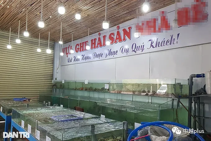 中国游客投诉在越南吃海鲜被宰，官方无证据（组图） - 6
