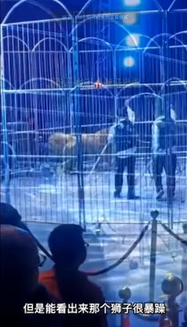 河南马戏团狮子突逃出铁笼，观众慌忙逃命，引发网民抵制动物表演（视频/组图） - 3