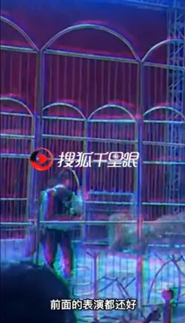 河南马戏团狮子突逃出铁笼，观众慌忙逃命，引发网民抵制动物表演（视频/组图） - 2