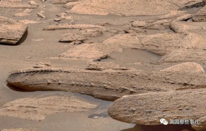 火星发现“龙脊”？NASA公布的火星不明巨物照，网友们脑洞关不住了（组图） - 12