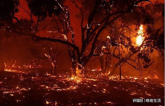 1万亿克烟雾颗粒进入平流层！澳洲大火让地球气候变样，更可怕了（组图） - 3