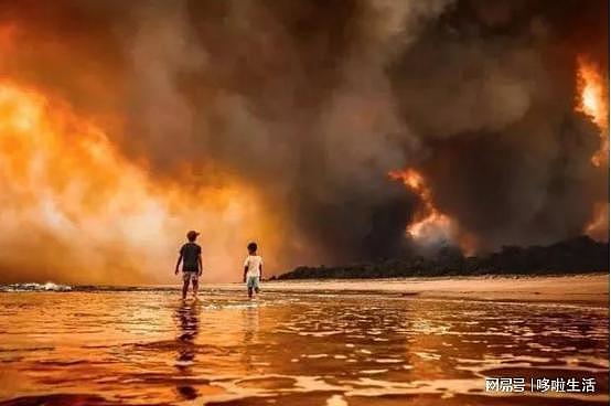1万亿克烟雾颗粒进入平流层！澳洲大火让地球气候变样，更可怕了（组图） - 5