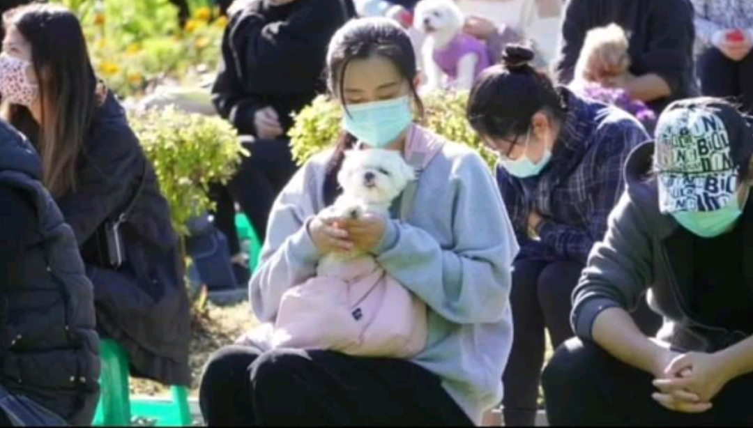 56岁王祖贤近照曝光变成了这样？当众数度哽咽！自曝惊人小秘密（组图） - 10