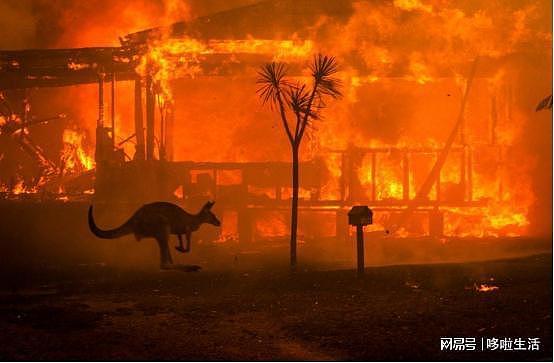 1万亿克烟雾颗粒进入平流层！澳洲大火让地球气候变样，更可怕了（组图） - 2