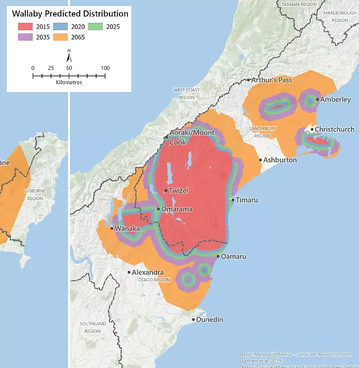 新西兰花270万纽币杀18只澳洲小袋鼠！政府的“环保就业”太猛了（组图） - 17