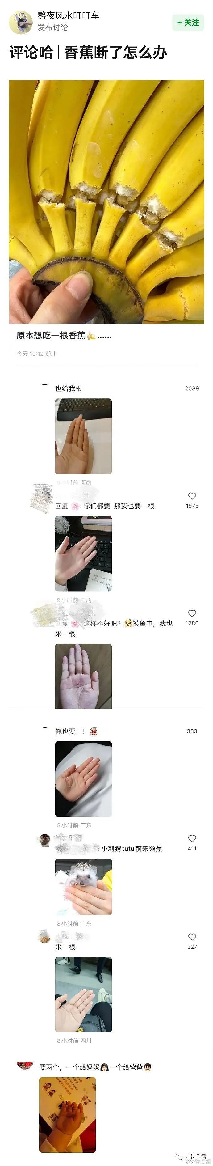 【爆笑】窦骁和赌王千金婚礼曝光！网友：奚梦瑶差点就要帮忙洗碗了（组图） - 42