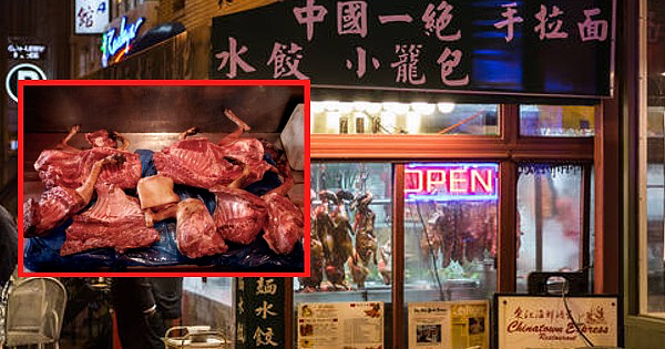 美国盛传中餐馆“杀了几百只狗做菜”？真相曝光令人气愤……（组图） - 2