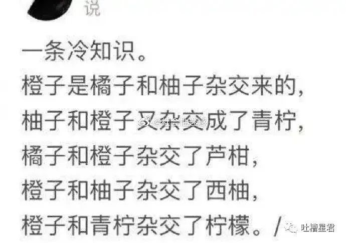 【爆笑】窦骁和赌王千金婚礼曝光！网友：奚梦瑶差点就要帮忙洗碗了（组图） - 38