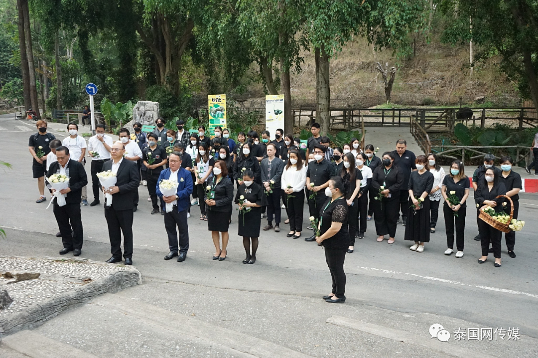 中国大熊猫“林惠”去世后，清迈动物园铺满了鲜花（组图） - 2