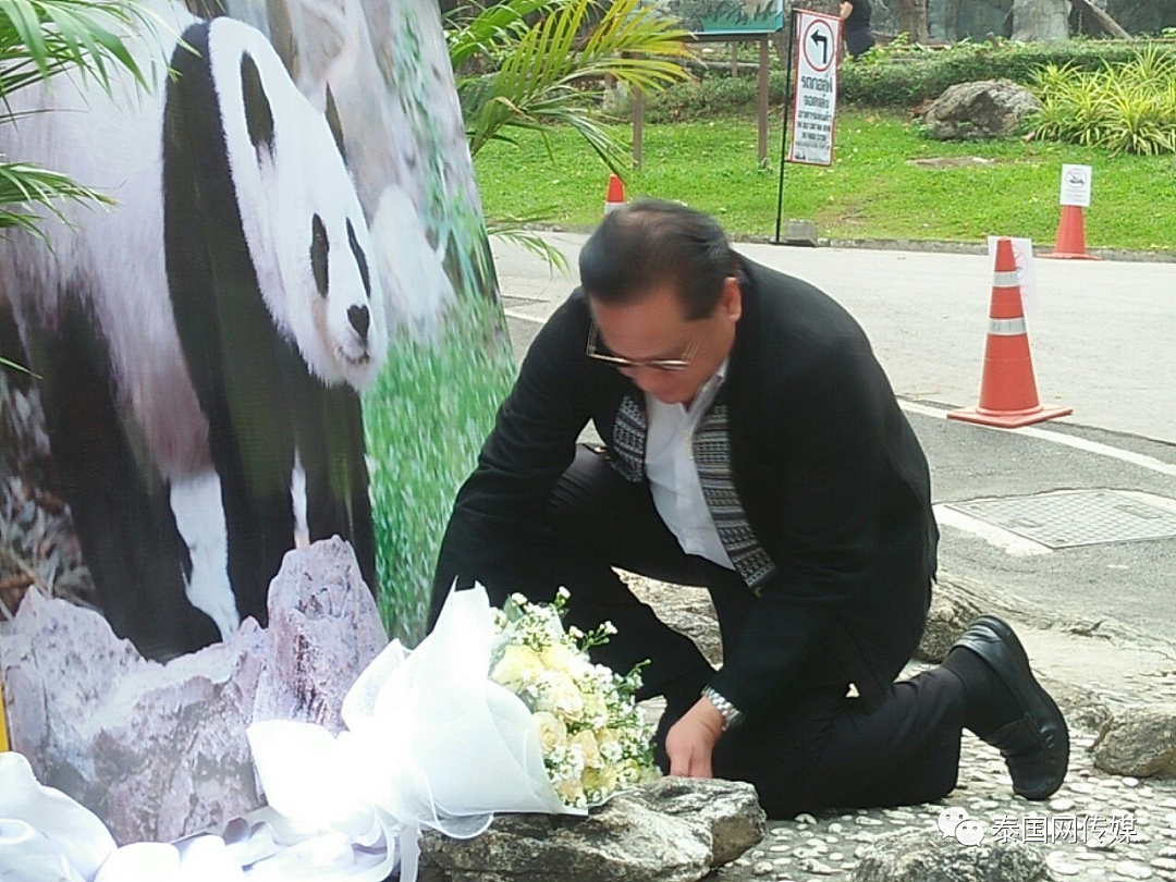中国大熊猫“林惠”去世后，清迈动物园铺满了鲜花（组图） - 5