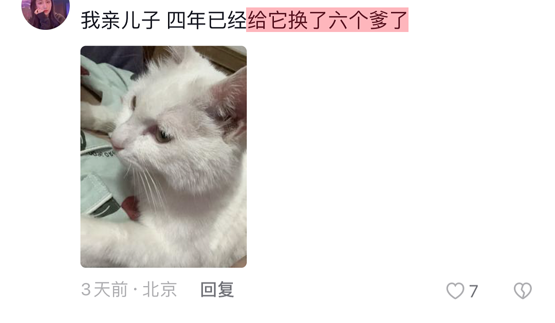 【爆笑】“未婚妻和前女友的猫，我该选谁？”（组图） - 3