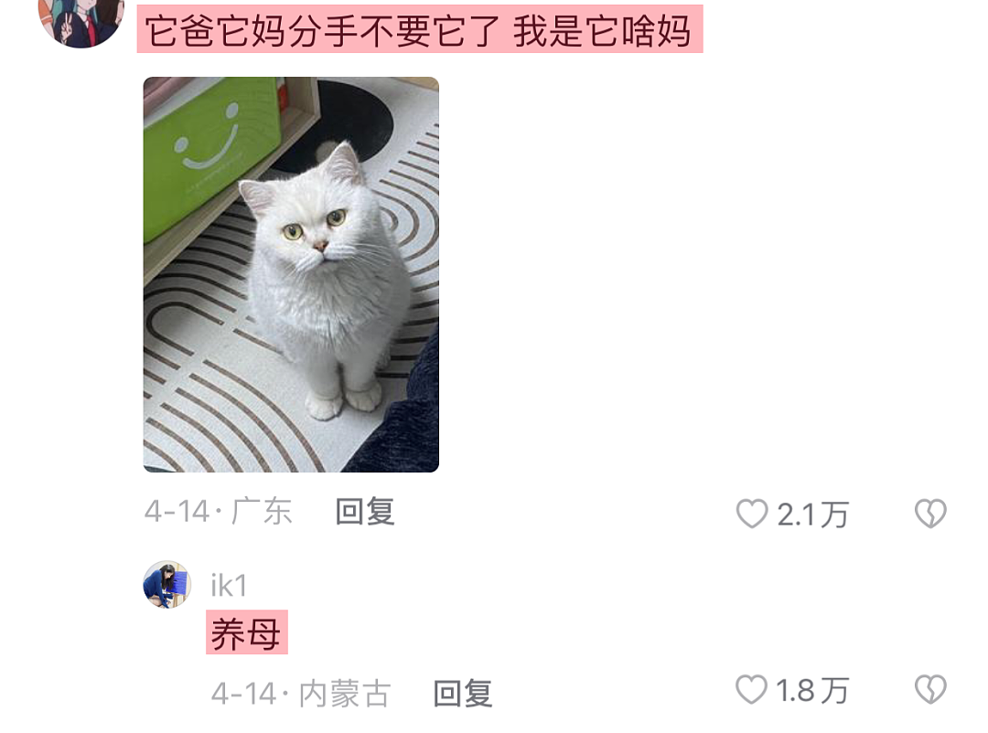 【爆笑】“未婚妻和前女友的猫，我该选谁？”（组图） - 22