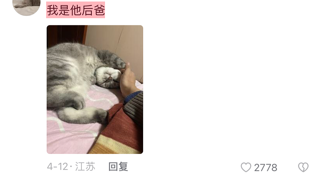 【爆笑】“未婚妻和前女友的猫，我该选谁？”（组图） - 8