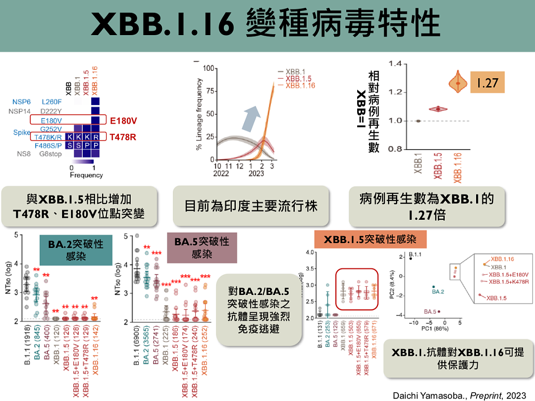 金冬雁解读香港疫情：每天数万人感染，XBB.1.16只是纸老虎？（组图） - 15
