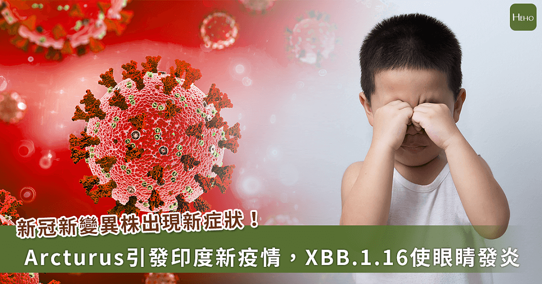 金冬雁解读香港疫情：每天数万人感染，XBB.1.16只是纸老虎？（组图） - 16
