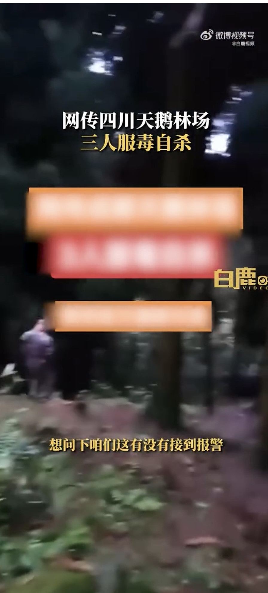网传内地3人在四川天鹅林场服毒自杀，附近商家：人已去世（组图） - 2