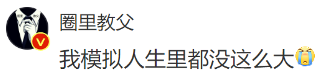 冲上热搜！何超莲北京婚房价值8亿，窦骁彻底怒了，强烈呼吁…（组图） - 15