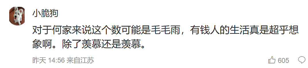 冲上热搜！何超莲北京婚房价值8亿，窦骁彻底怒了，强烈呼吁…（组图） - 13