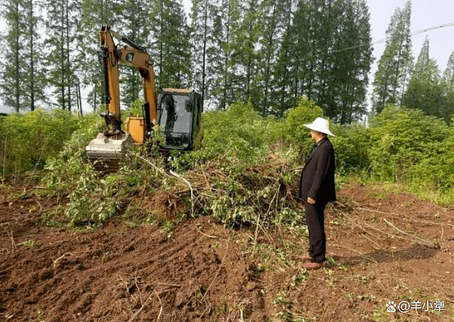 港媒：中国砍树还耕，20年退耕还林政策下架（图） - 1