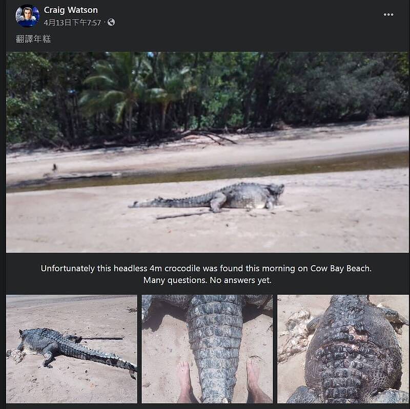 澳洲海滩惊见“无头”鳄鱼引发网民热议（图） - 1