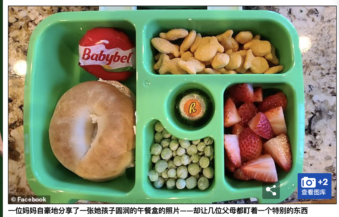 澳洲妈妈给孩子的lunch box，把所有人都看懵了...这真的能吃吗？（组图） - 2