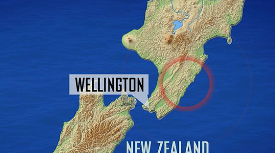 澳洲邻国突发7.3级地震！海啸预警，波及中国、新西兰（组图） - 11