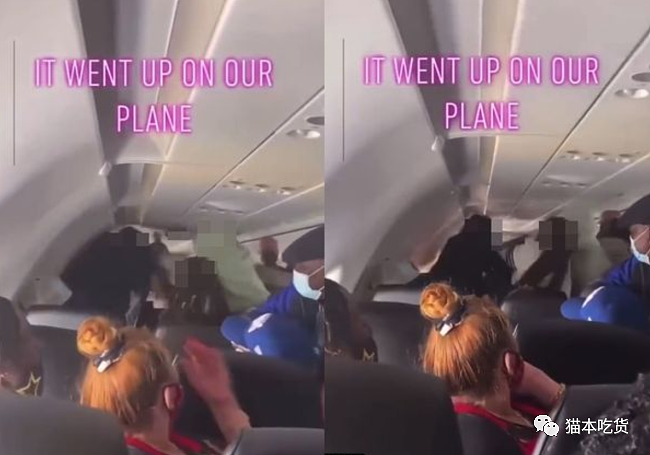 疯了！澳洲4男女机机舱内大乱斗，3.5万英尺高空“打破窗户”，紧急迫降2次（图） - 1