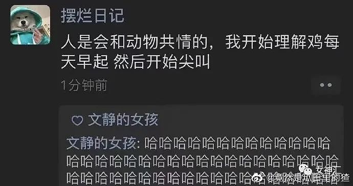 【爆笑】“黄晓明自曝baby配不上自己？”哈哈哈，网友评论亮瞎眼！（组图） - 24