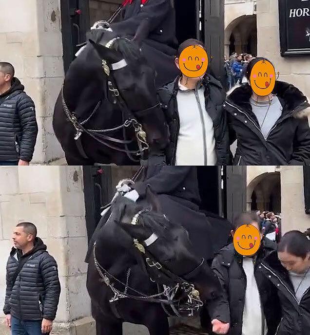 女游客同框白金汉宫的马，却被咬住了马尾辫，“让你无视警告”（组图） - 4