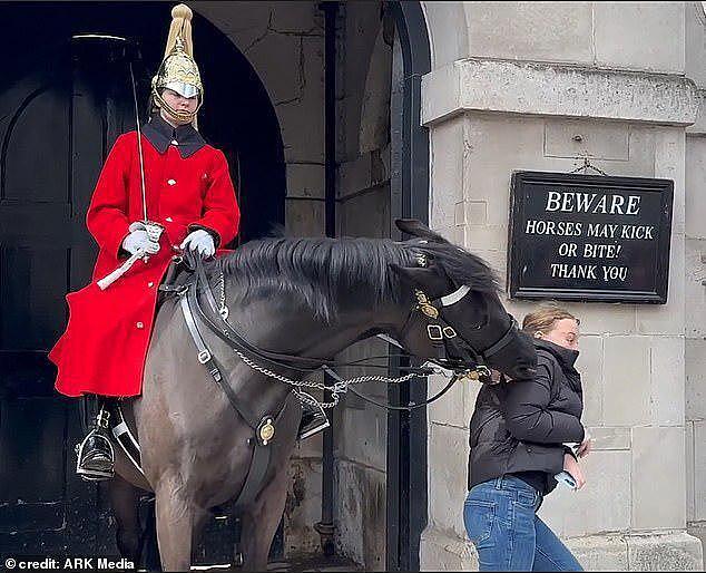 女游客同框白金汉宫的马，却被咬住了马尾辫，“让你无视警告”（组图） - 2