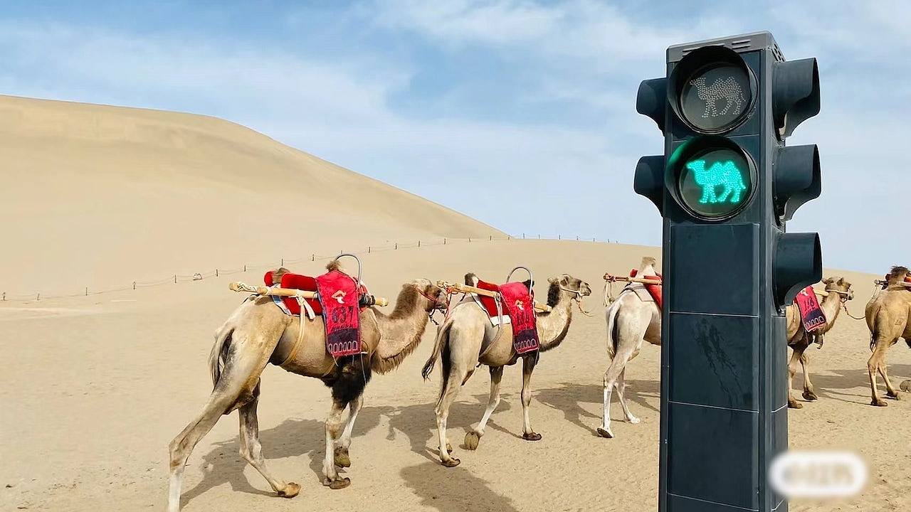 五一敦煌鸣沙山惊现“塞骆驼”？景区特设红绿灯分流爆红（组图） - 1
