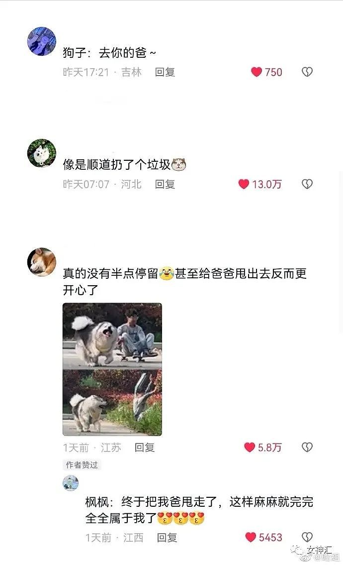 【爆笑】​“洪欣官宣和张丹峰已经离婚？”网友傻眼：这是撕破脸了？（组图） - 15