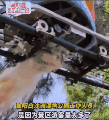 CPT2305021808-224x247.gif,0