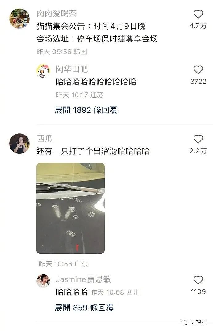 【爆笑】​“洪欣官宣和张丹峰已经离婚？”网友傻眼：这是撕破脸了？（组图） - 51
