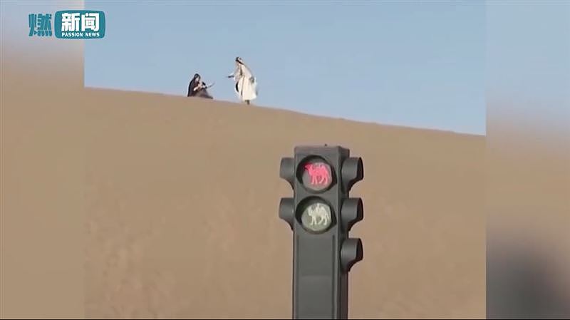 五一长假，骆驼也跟着“堵”？沙漠惊现“堵骆驼”急设立红绿灯（组图） - 6