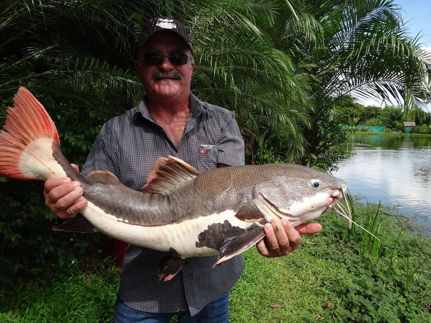 澳洲65岁男子钓鱼失踪，鳄鱼体内发现疑似残骸（组图） - 3