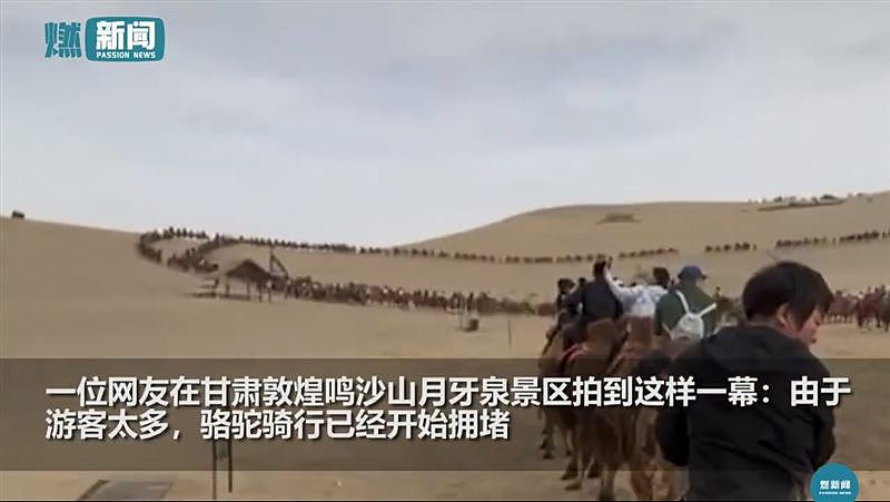五一长假，骆驼也跟着“堵”？沙漠惊现“堵骆驼”急设立红绿灯（组图） - 2