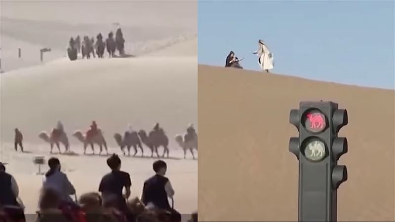 五一长假，骆驼也跟着“堵”？沙漠惊现“堵骆驼”急设立红绿灯（组图） - 1