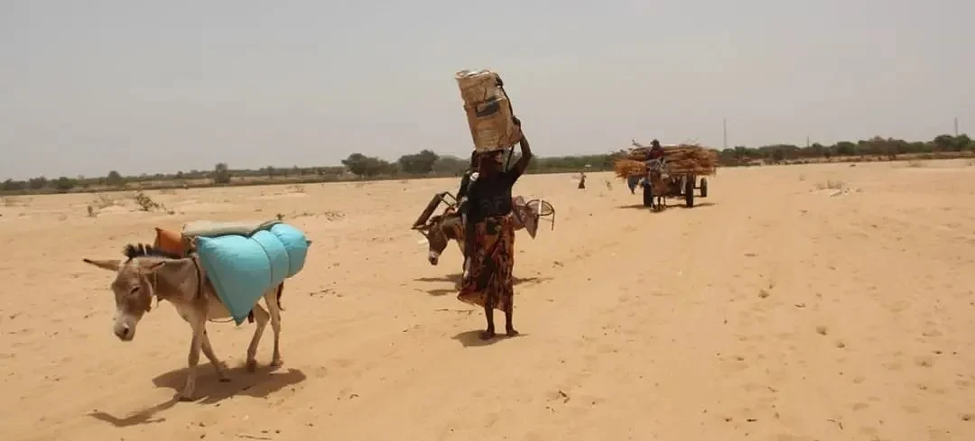 联合国：苏丹爆发全面人道灾难，数万人逃离苏丹（组图） - 12